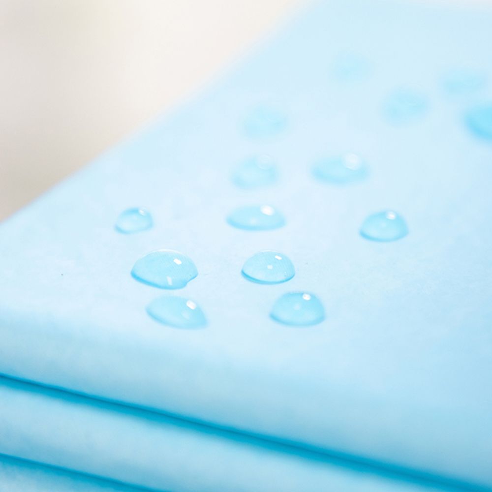 Puppy Pee Pads Dog Potty Training Pads Disposable Super Absorbent Leak-Proof