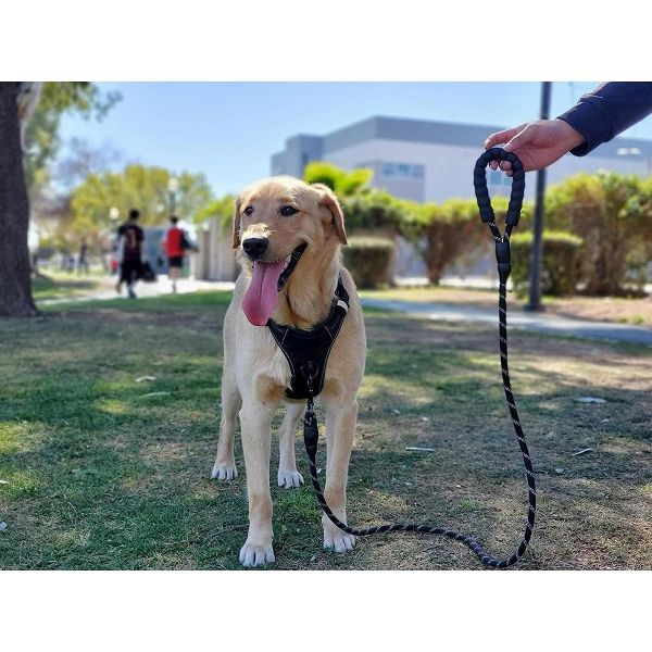 6.5 ft Reflective Rope Dog Leash with Padded Handle for Small Medium and Large Dogs