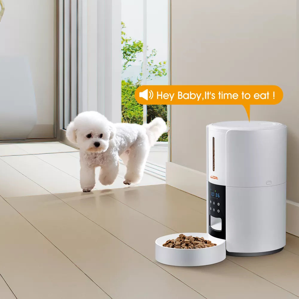 Automatic Cat Feeder Dry Food Dispenser 5L Timed with Portion Control