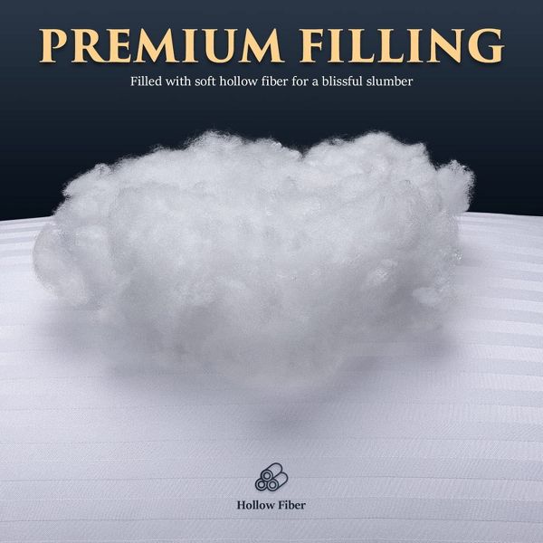 2 Pack Queen Size Bed Pillows for Side and Back Sleeper, with two pillowcases