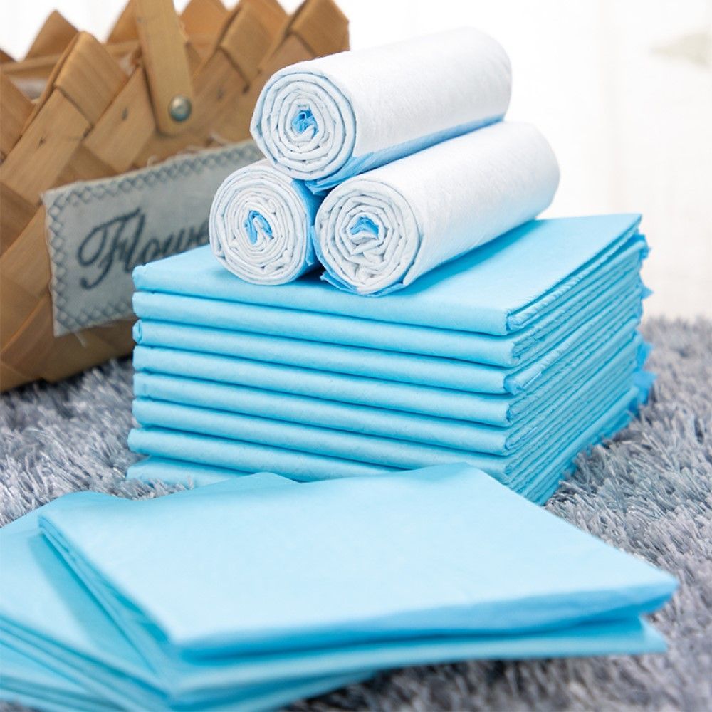 Puppy Pee Pads Dog Potty Training Pads Disposable Super Absorbent Leak-Proof